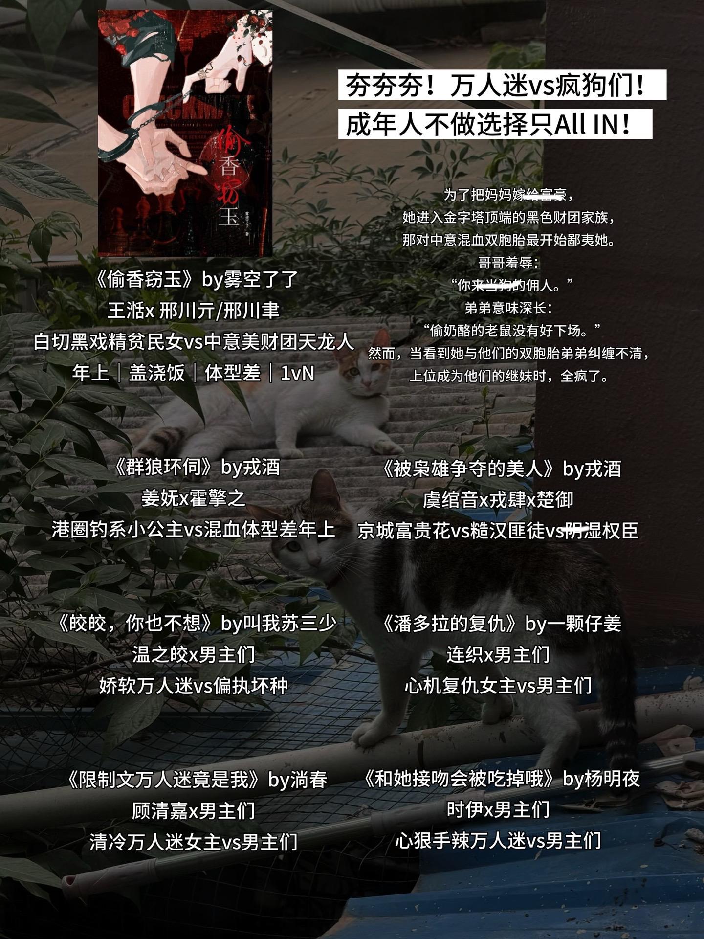 夯！万人迷vs疯狗们！ 成年人不做选择！