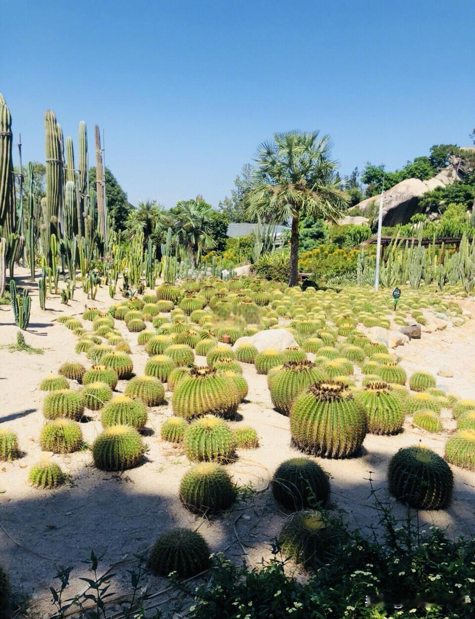 福建哪个城市最好旅游呢个人觉得是福建漳州首先，福建漳州历史感厚重，几个大土楼
