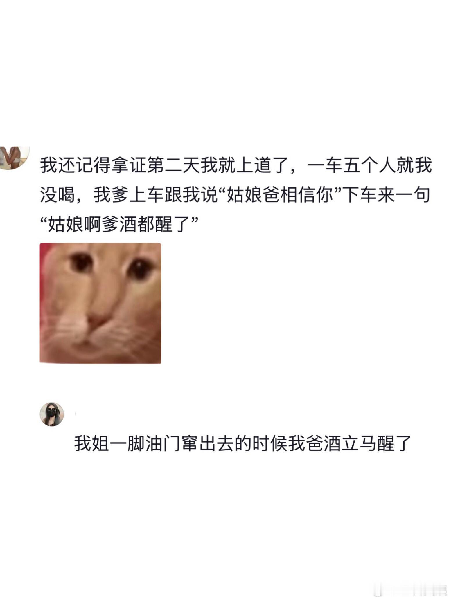 论新手第一次开车上路能有多好笑哈哈哈哈哈哈！！！
