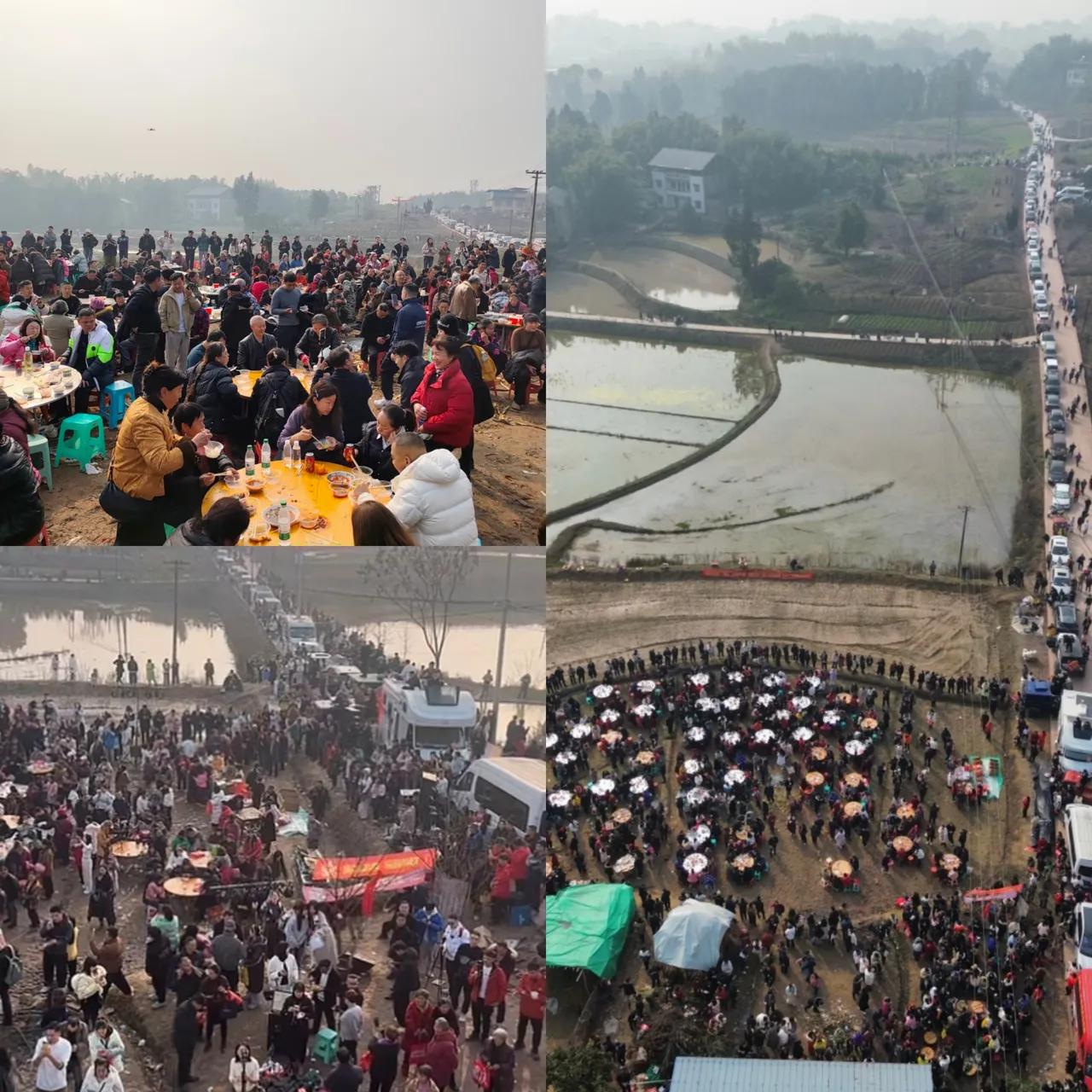 重庆呆呆事件，最大的受益者已经出现了，不是呆呆本人，也不是合江文旅，而是那