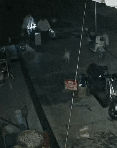 "太在意，才会逃。"广西，一小伙送女友回家，刚踏进院子，愣了两秒，扭头就跑了。这