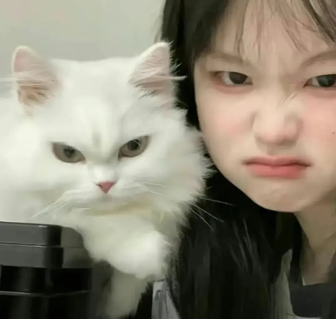 猫咪和主人很像是什么感脚