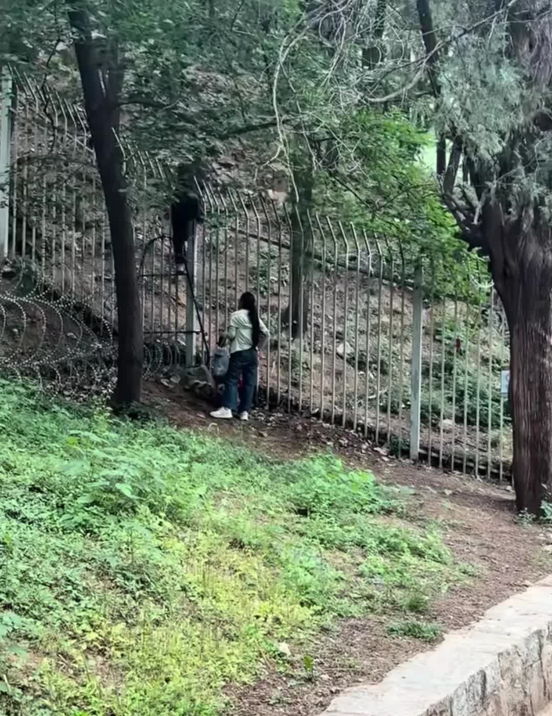 两个女孩翻越泰山栏杆为哪般？近日网上流传的一个视频火了，有几十万人点赞了，原来是