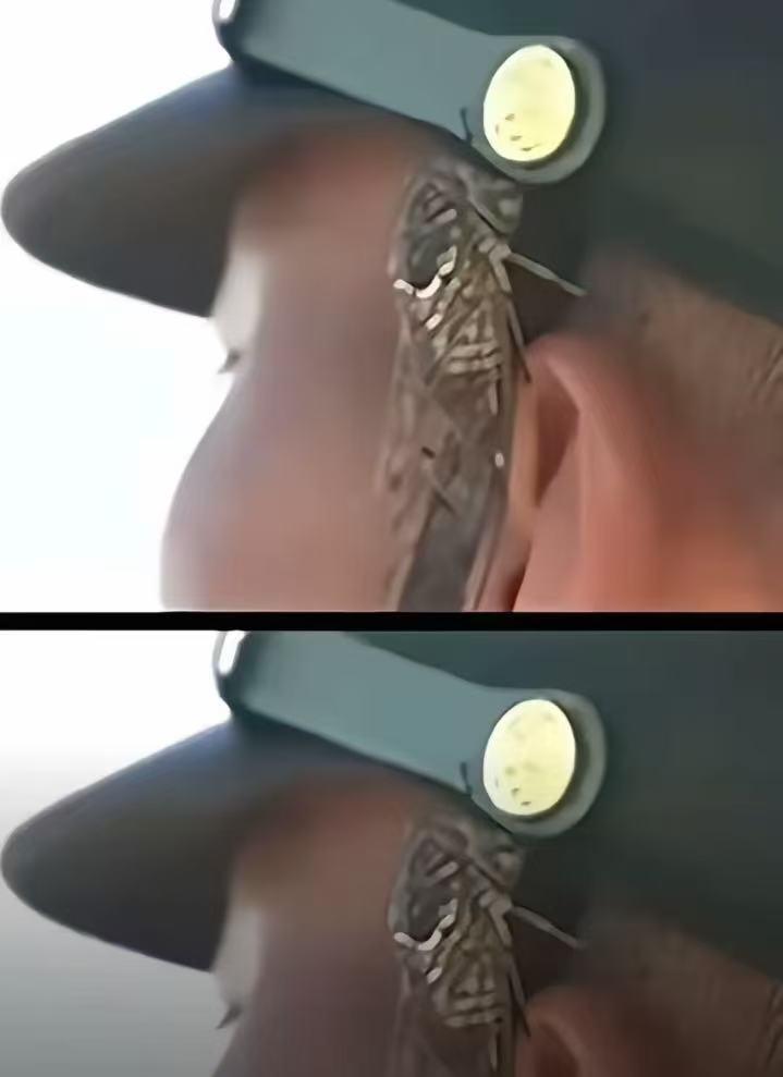 这下全国人民都知道了什么叫军人的坚定意志。阅兵仪式上，有一名战士的耳朵上飞