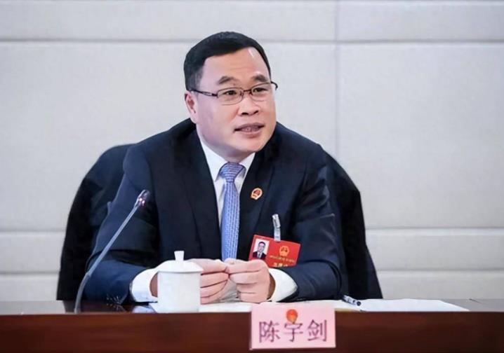 上海市副市长陈宇剑被查【上海副市长陈宇剑接受审查调查】上海市政府党组成员、副市长