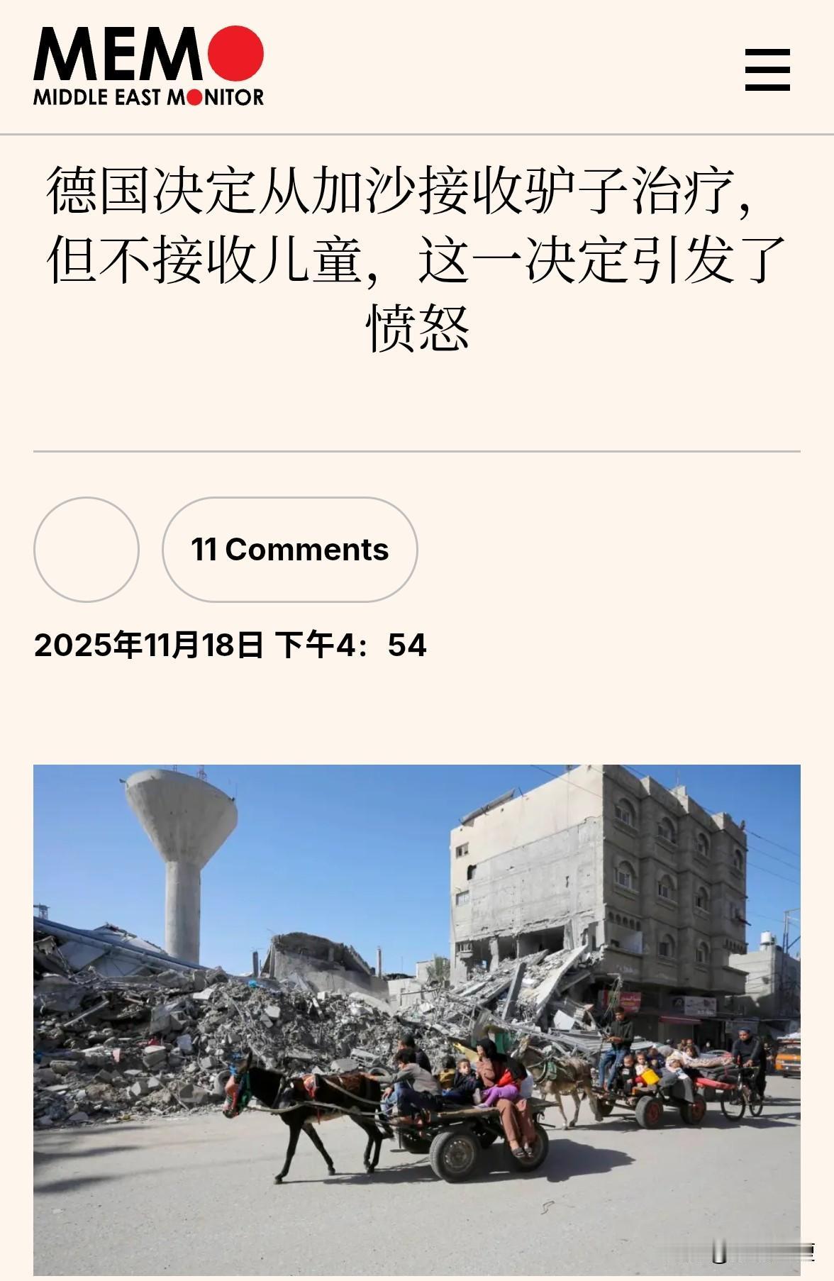 驴子，是绝大部分加沙人回家的运输工具。于是德国决定不先救出加沙受苦的儿童，而