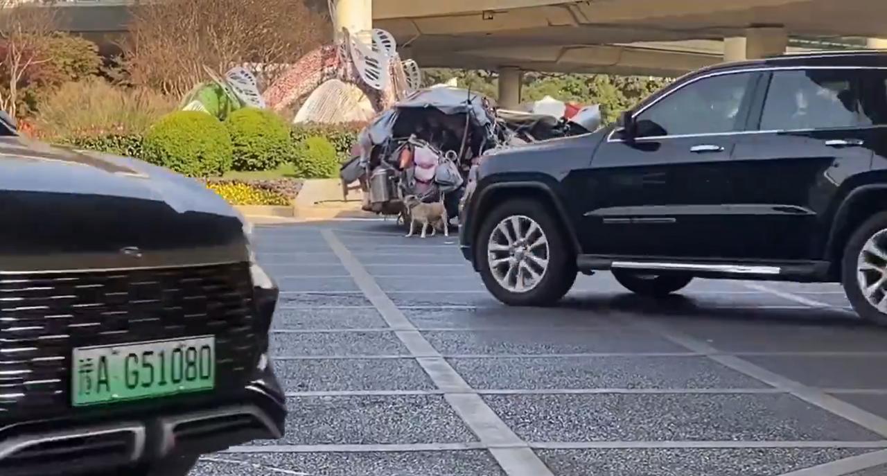 河南郑州视频：一大爷拉着一辆装满杂物的电动三轮车流中行驶，前面还有一小狗跑，后面