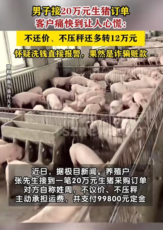 “太机智了！”8月6日报道，湖北，一男子接到一笔20万生猪订单，对方不议价、不压