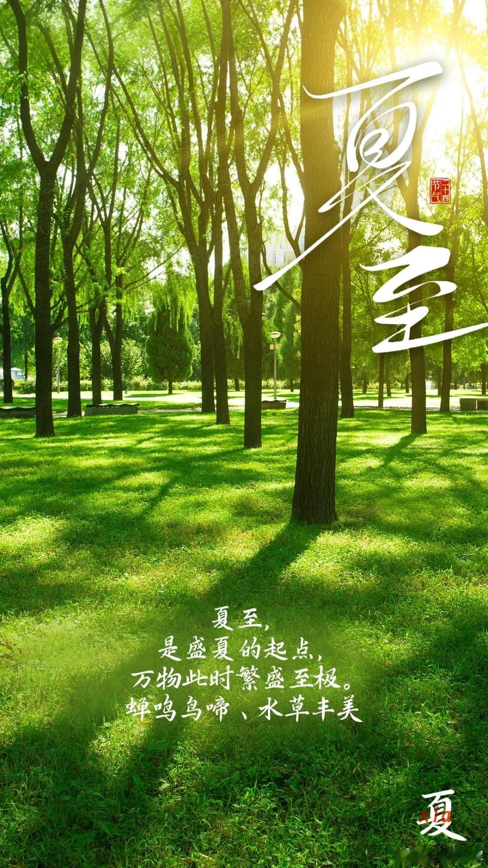 夏至养阴生津，阳气方能内敛升发夏至阳极阴生，白昼最长、暑热蒸腾，人体津液最易耗散