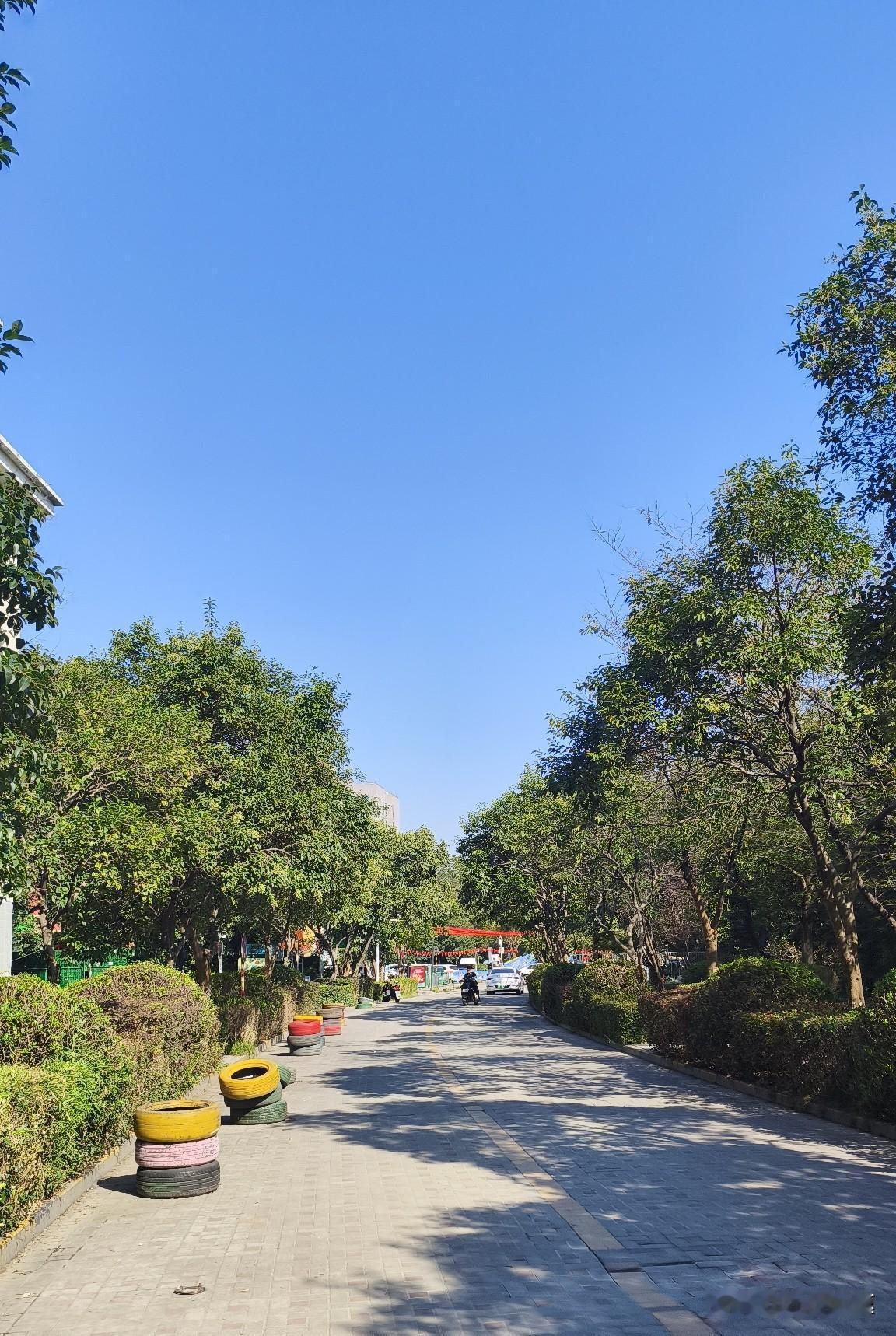 都到寒露了，南京还卡在12-26度晃悠，连着大晴天晒得人穿薄卫衣走在路上都嫌闷，