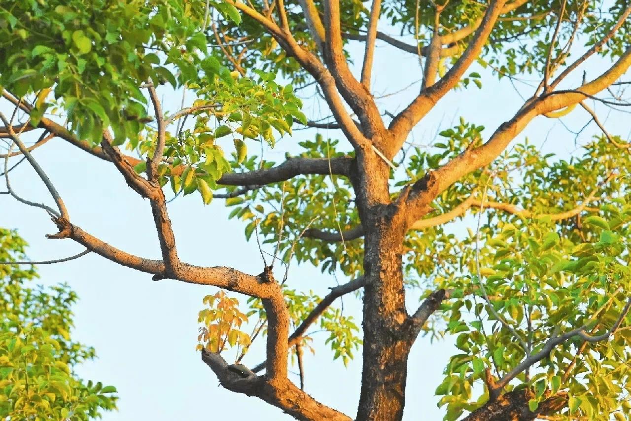 无法拿捏的女人，核心是自我主宰——有边界、够独立、内核稳、会成长，不把人生主动权