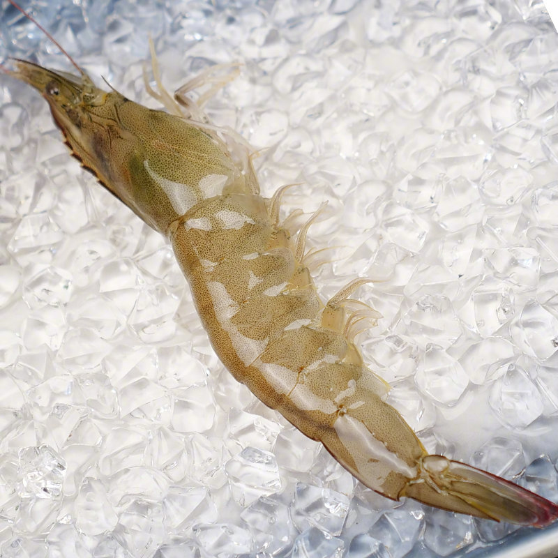 要说海虾，绝对是海鲜中的佼佼者，家家户户必不可少。海虾高蛋白低脂肪，富含牛磺酸、