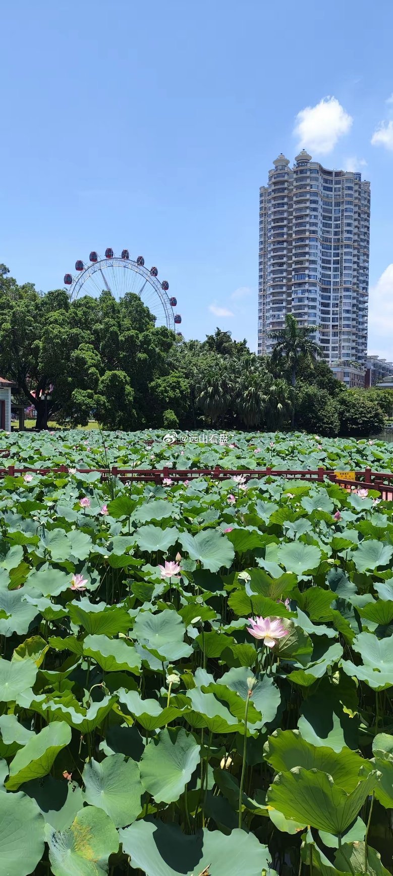 13万买的比特币，现在6万了。1200买的黄金，现在800多了。32买的白银，现