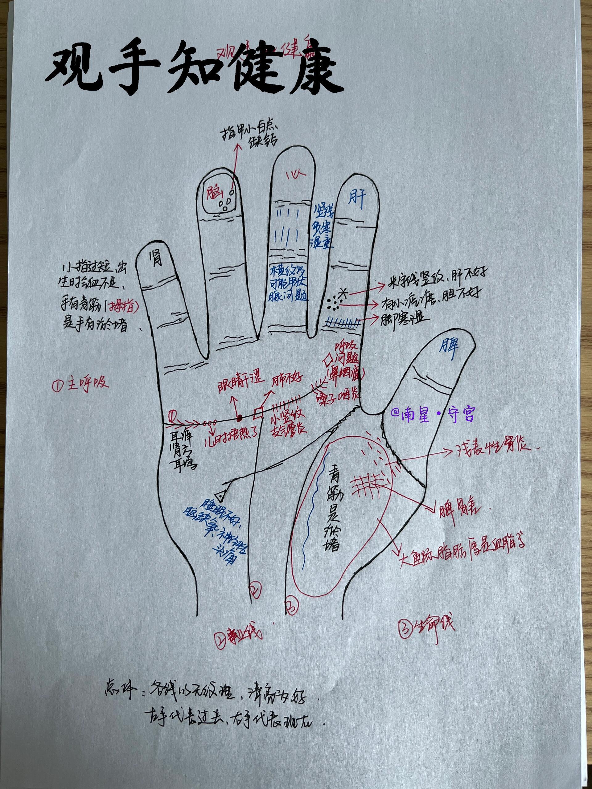 居家手指操！！手部穴位一起来看看你们的手吧，观手知健康，看看手掌中的穴位在哪十二