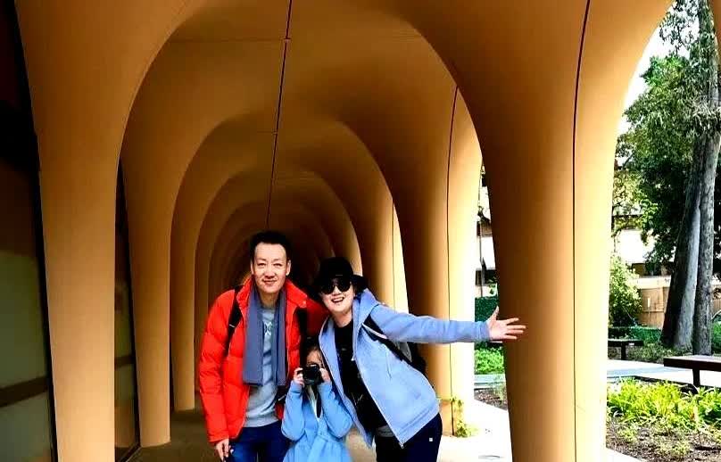 辛柏青一觉睡醒，收到2个消息一个是坏消息，另一个也是坏消息。现在