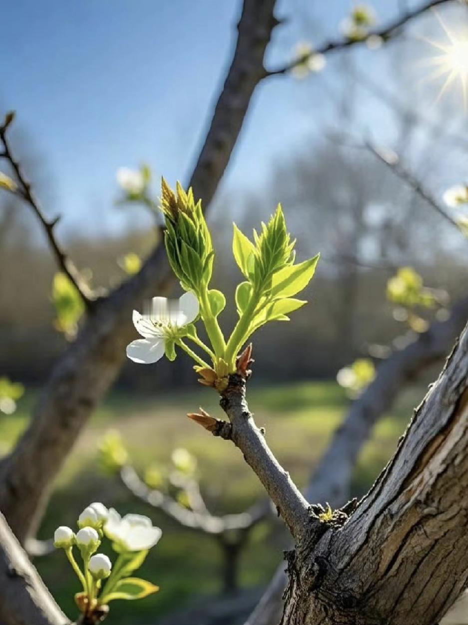 我同事说，女孩儿不必太优秀，长得漂亮就是一切。她说，现在的男孩儿，谁不想找一个漂