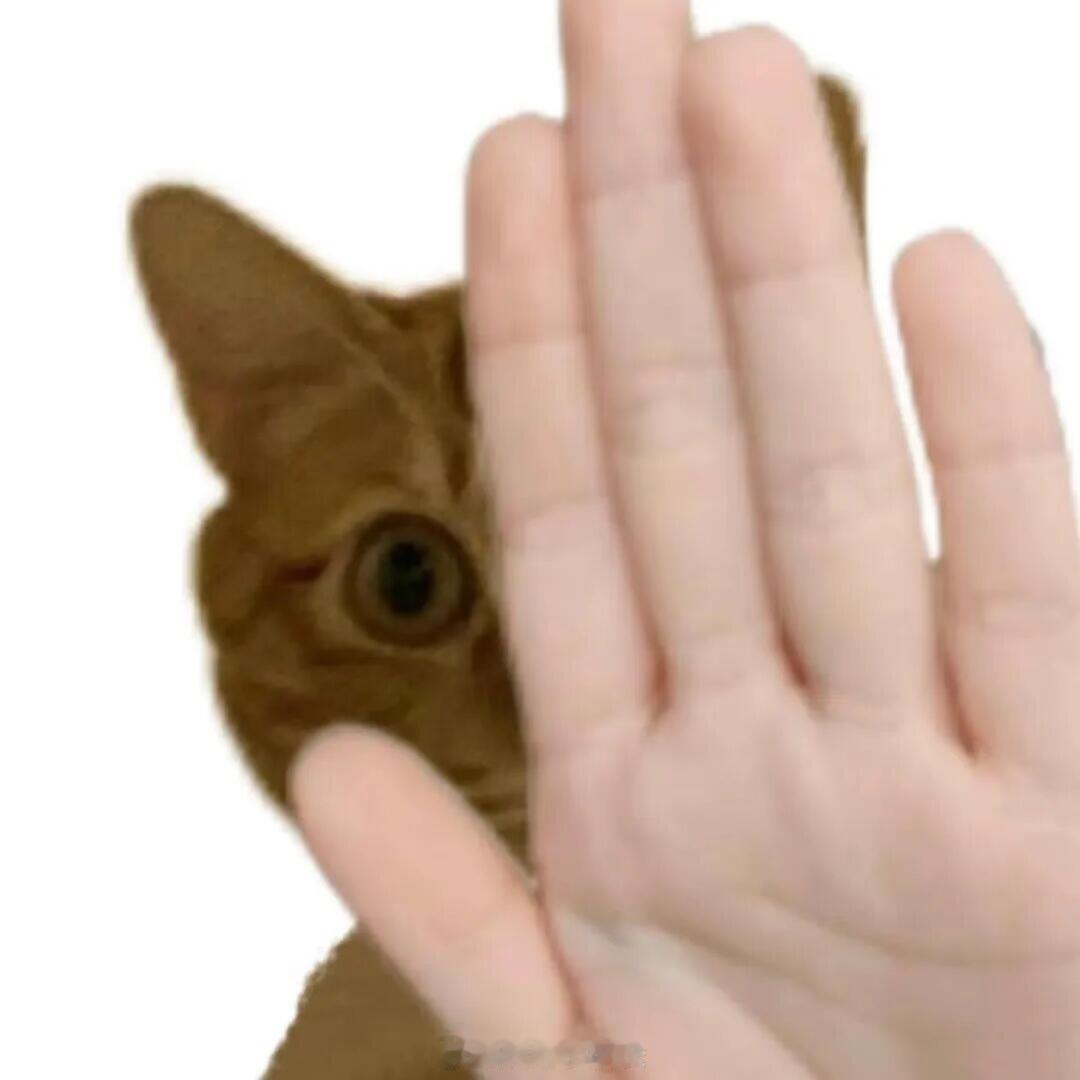 试用了n次才知道的冷知识生活小知识小课堂，每天一个冷知识技巧