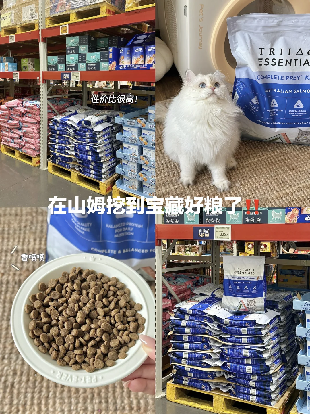 山姆宝藏粮分享｜室内猫咪的天菜猫粮