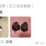 一下子跟掉毛的小猫和解了慢慢接纳家里的猫毛，跟着分享的方法动手制作，用猫咪的毛