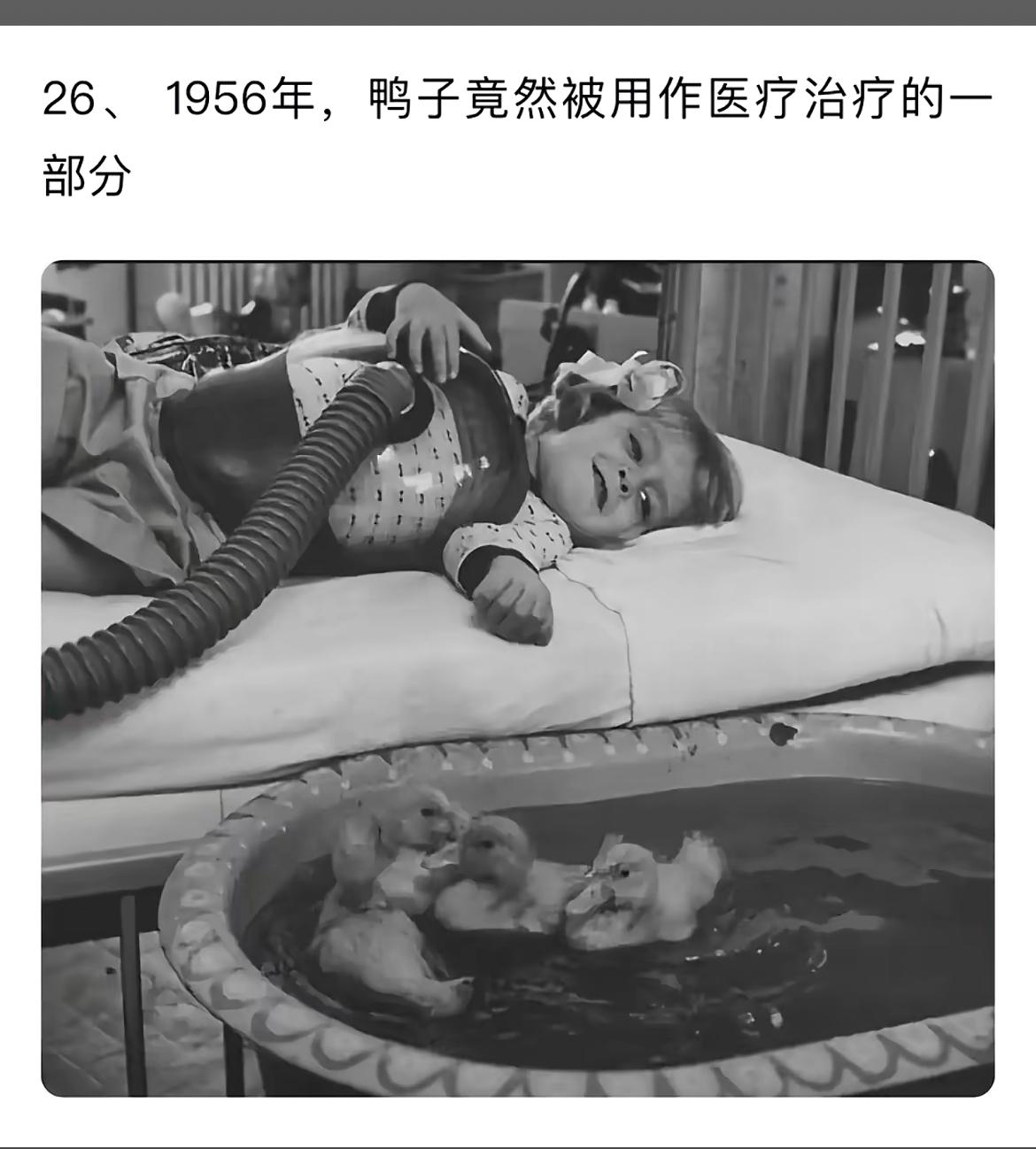 小孩和鸭子一起接受治疗，真是有趣。