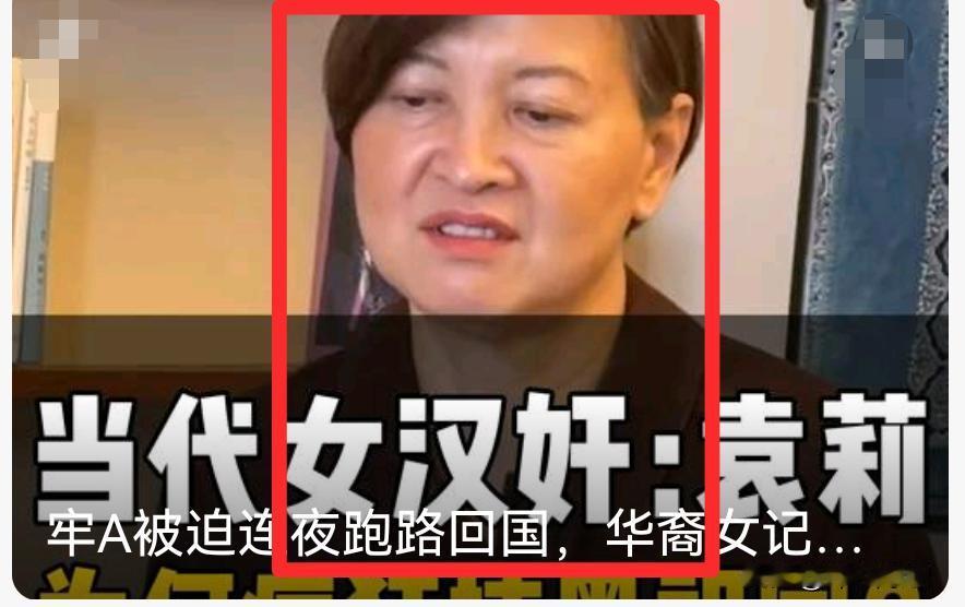 把背叛祖国当饭碗！女记者袁莉是牢A连夜被迫紧急回国的背后推手！2