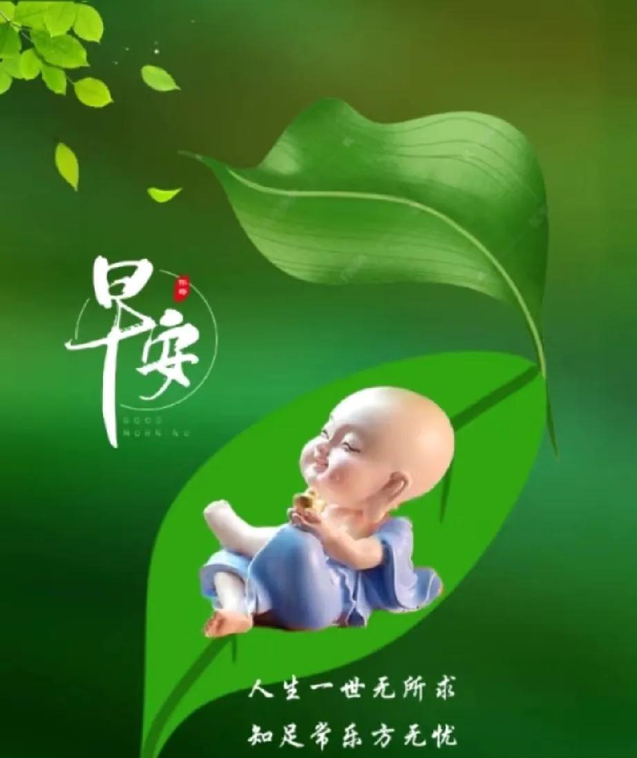 [玫瑰]早上好[玫瑰]人生一世无所求，知足常乐方无忧，无忧无虑健康在，笑