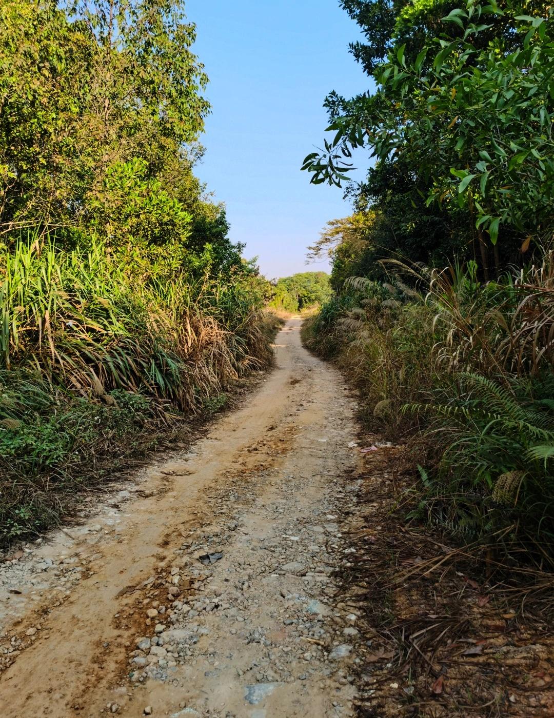 龙岗附近隐秘环湖路2.5km心跳加速野径穿越本以为是一次普通的环湖徒步，没想