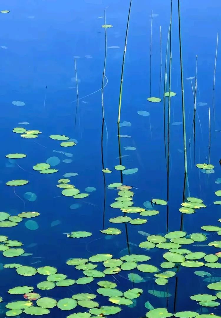 一位网友悲哀的说：“我今年54虚岁了，我现在已不想活了！我的头、眼、牙、腿都已
