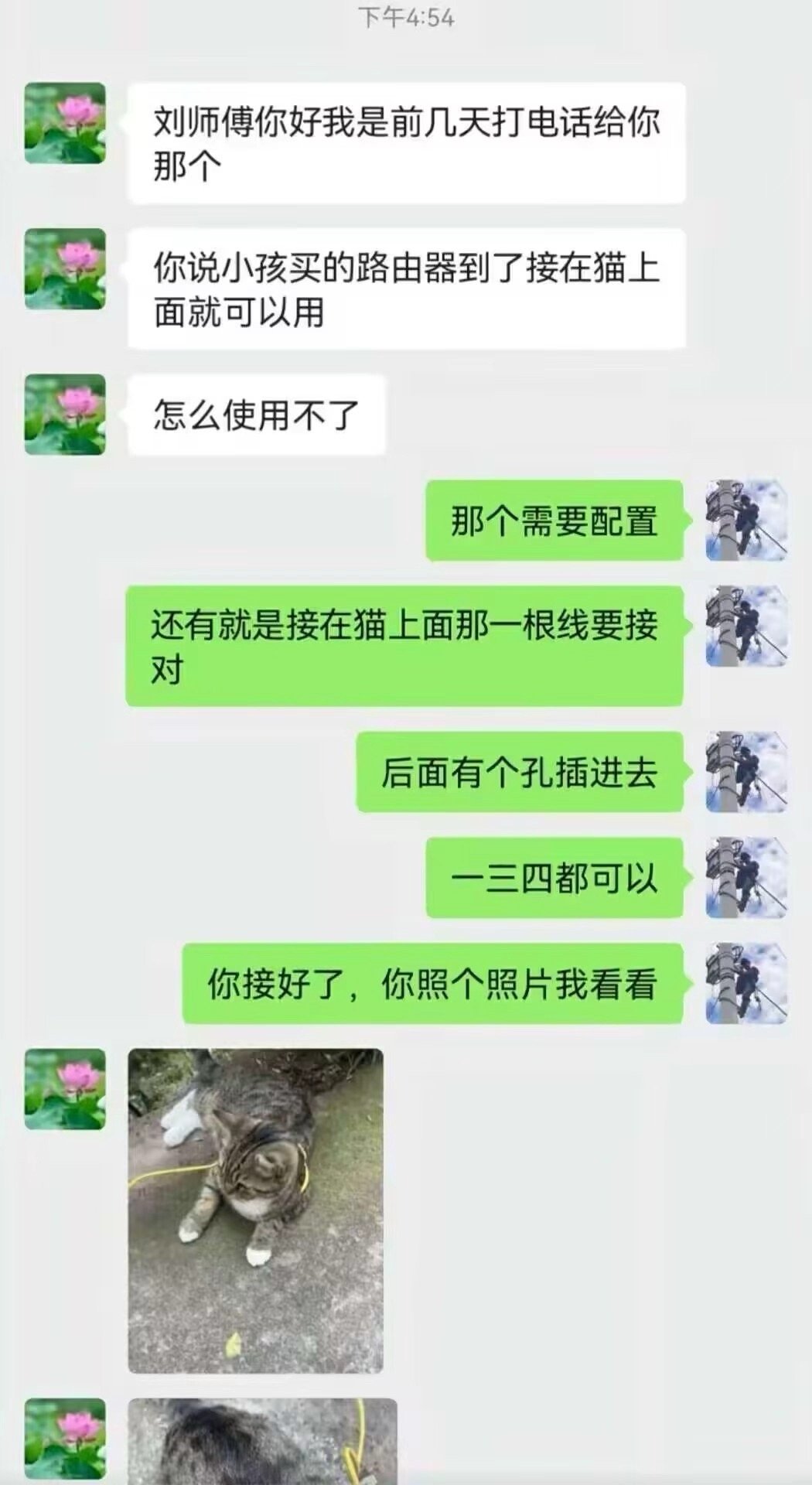 咋没反应