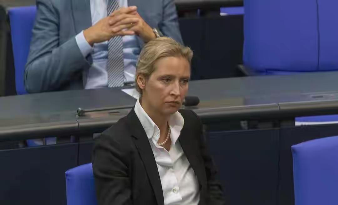 ​德国默茨领导的执政党和国内的反对党、选择党之间吵得不可开交。这时候，他们围绕的