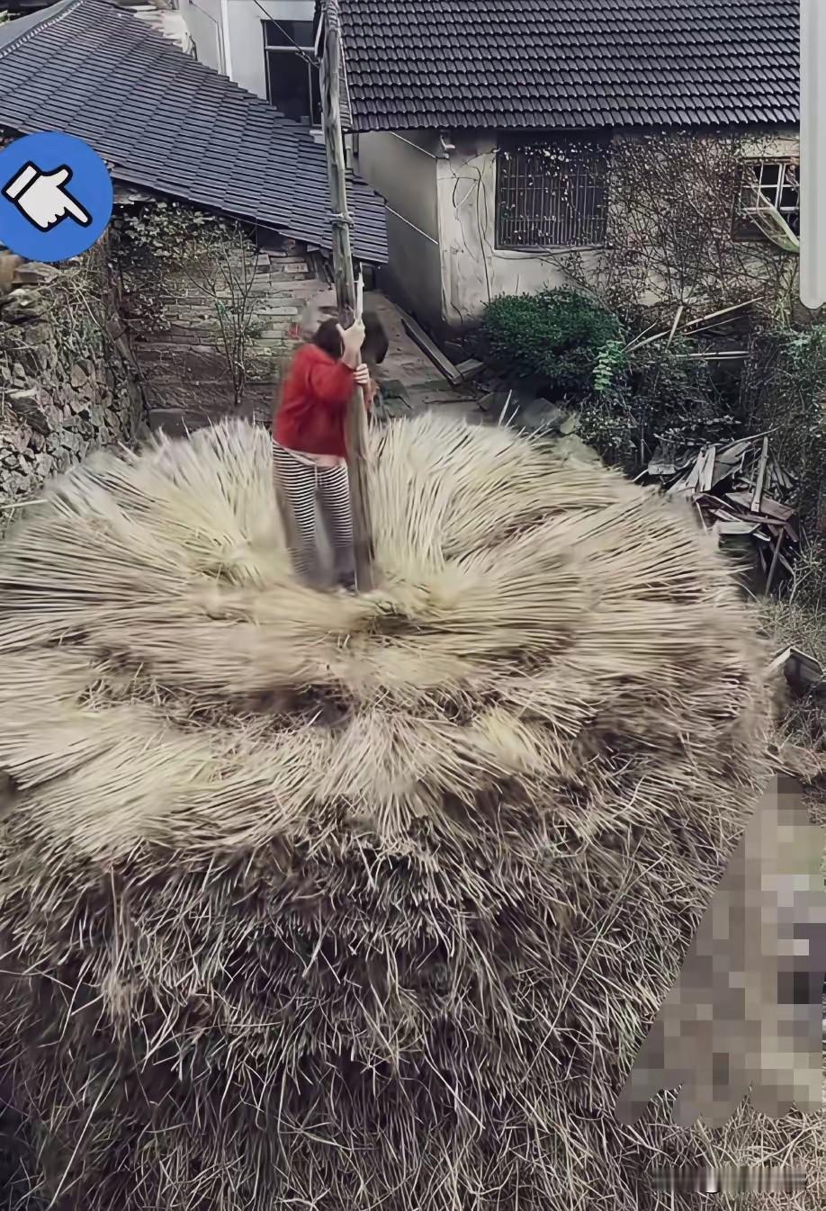 这是过去农村秋收打粮运粮交粮的的画面,如果不看到这些照片的话,最起码也得有40多