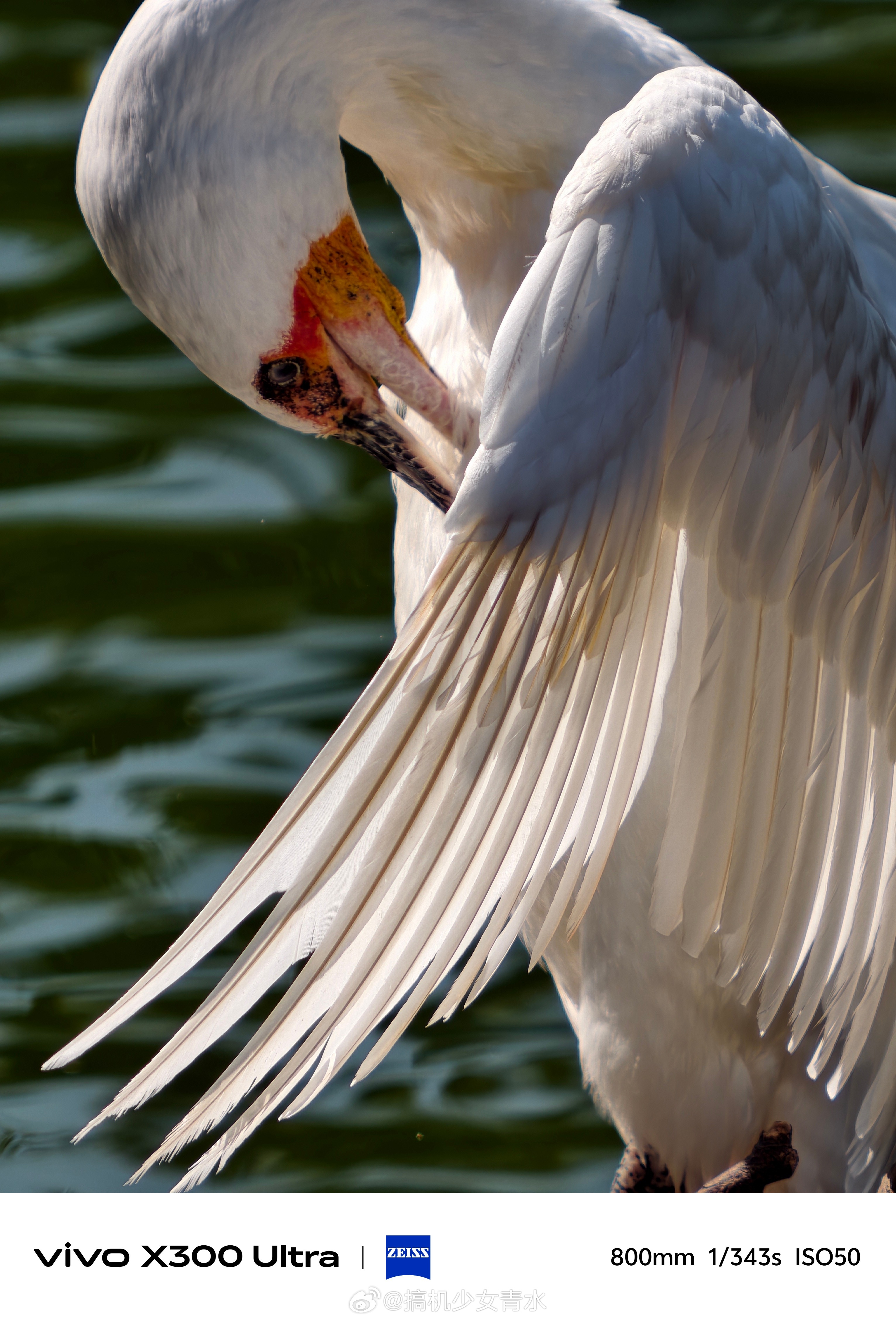 这望远太牛了，过于牛🐮vivo在长焦这块是真的权威vivoX300Ul