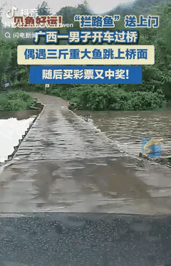 运气好到爆！9月9日广西桂林，陈先生开车经过村里的一座桥，突然就在车子抵达桥面时
