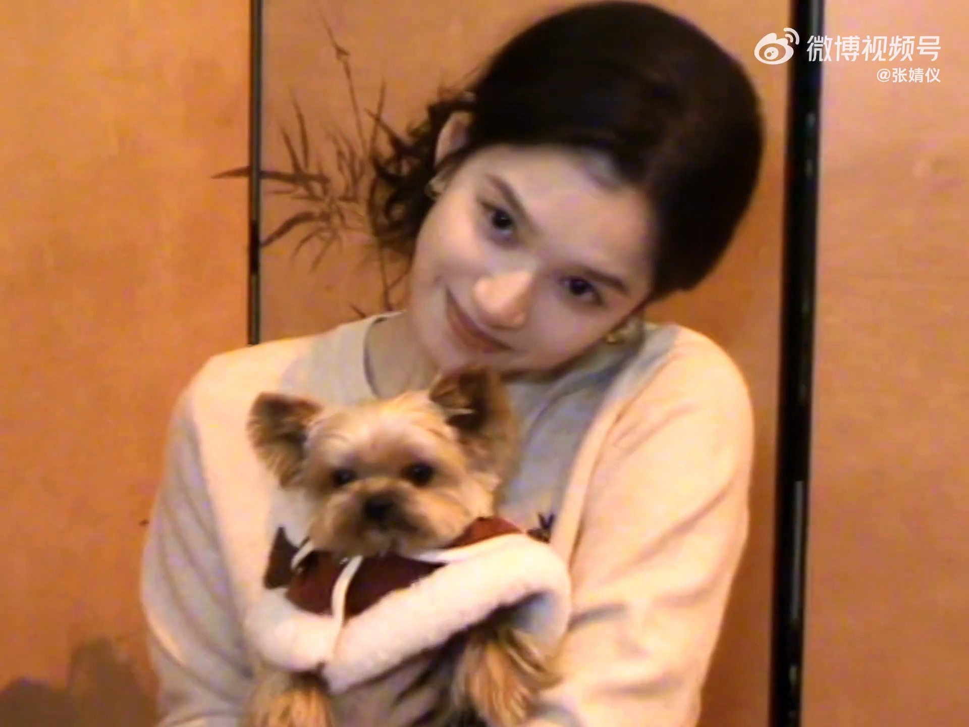 【张婧仪】26秒的视频萌了26秒😭❤️🔥过年好