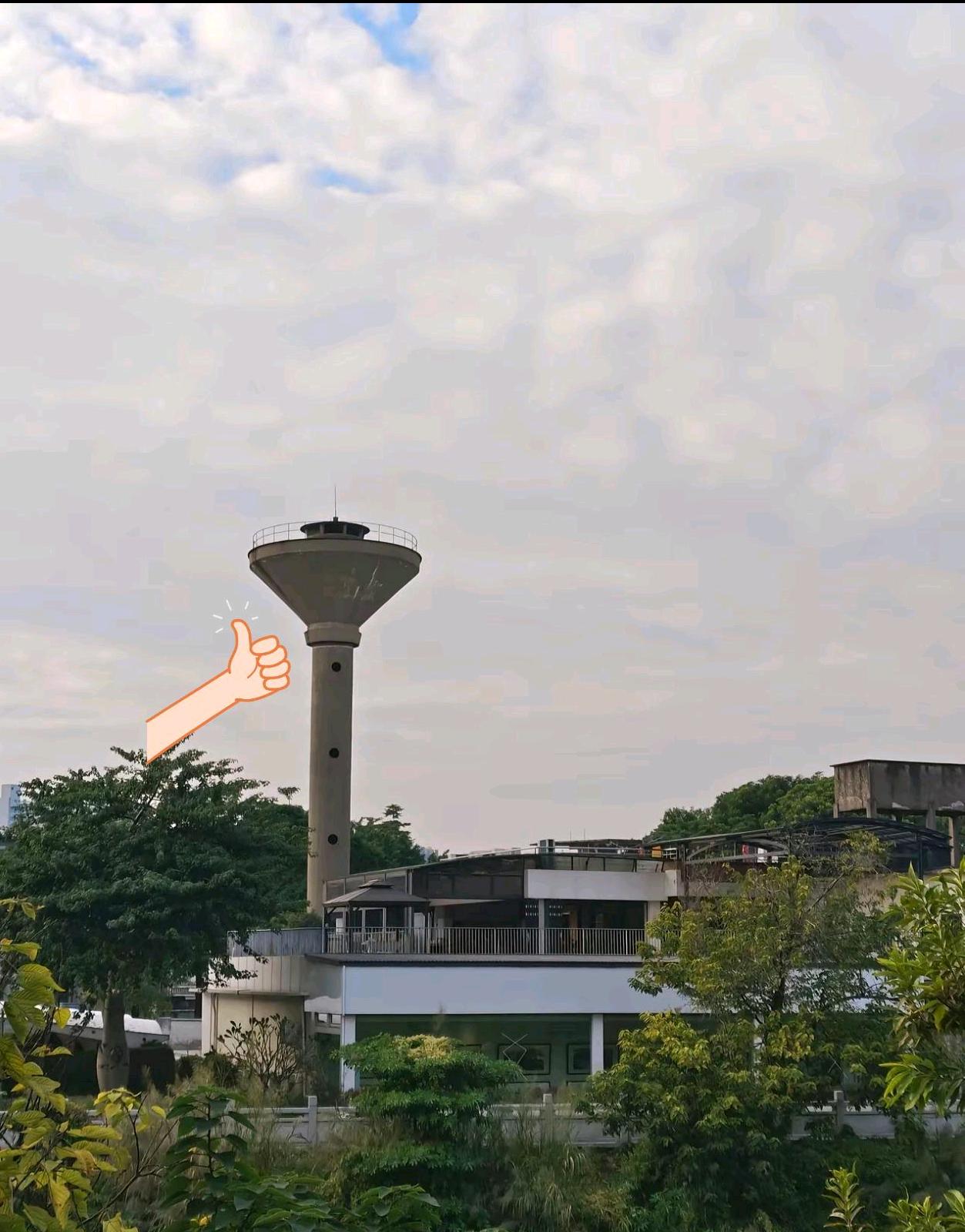 这个是什么，有懂行的吗？