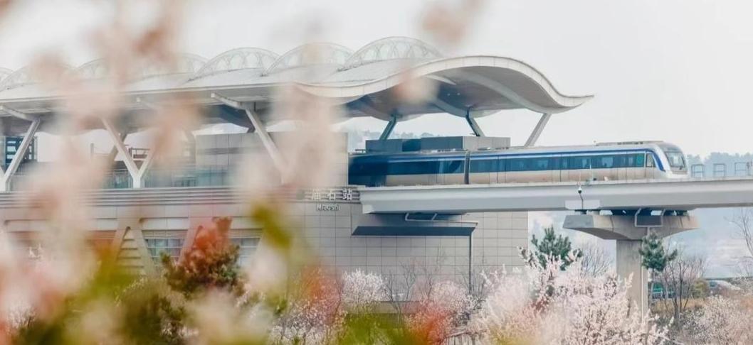 青岛崂山隐藏的“桃花源”爆了！地铁直达村口，8万人挤爆小山村，村民摆摊日入300