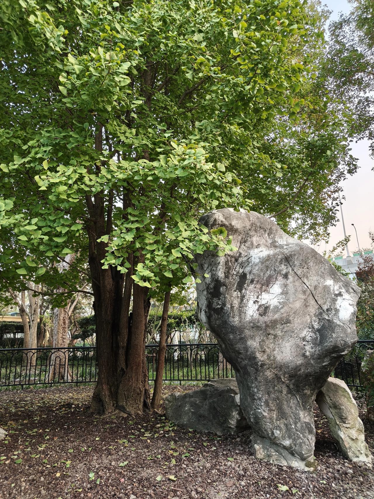 都说家有一老如有一宝，我家11年间家里的三位老人都相继离世了～[哭哭]最