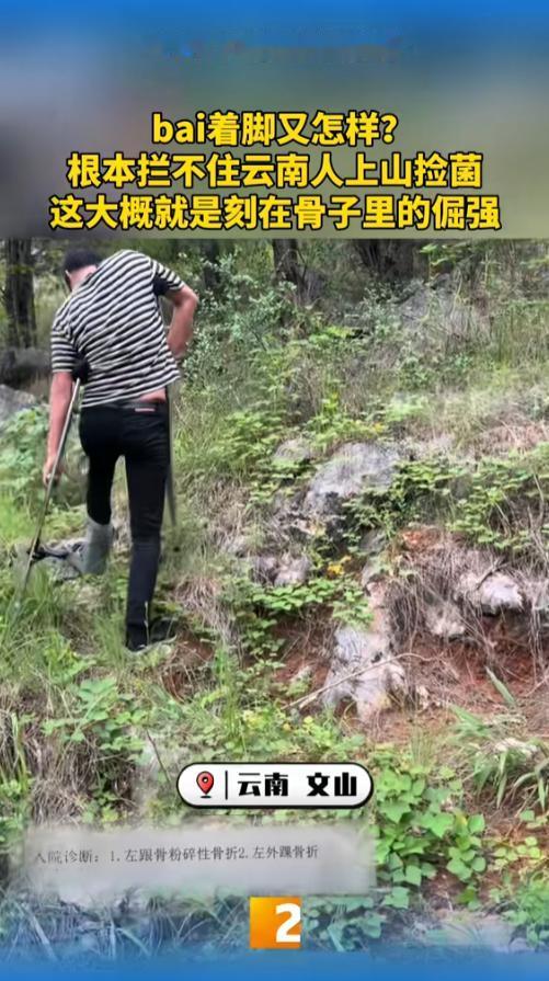 “这菌子是非吃不可么？”7月1日报道，云南文山，一男子左脚受了伤，骨折了，躺在床