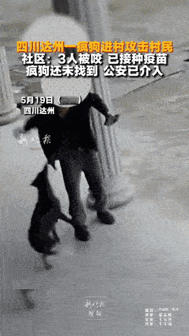 四川达州，老人正在院子里走，远远就看见有一只大黑狗龇牙咧嘴冲了过来，老人立马高举
