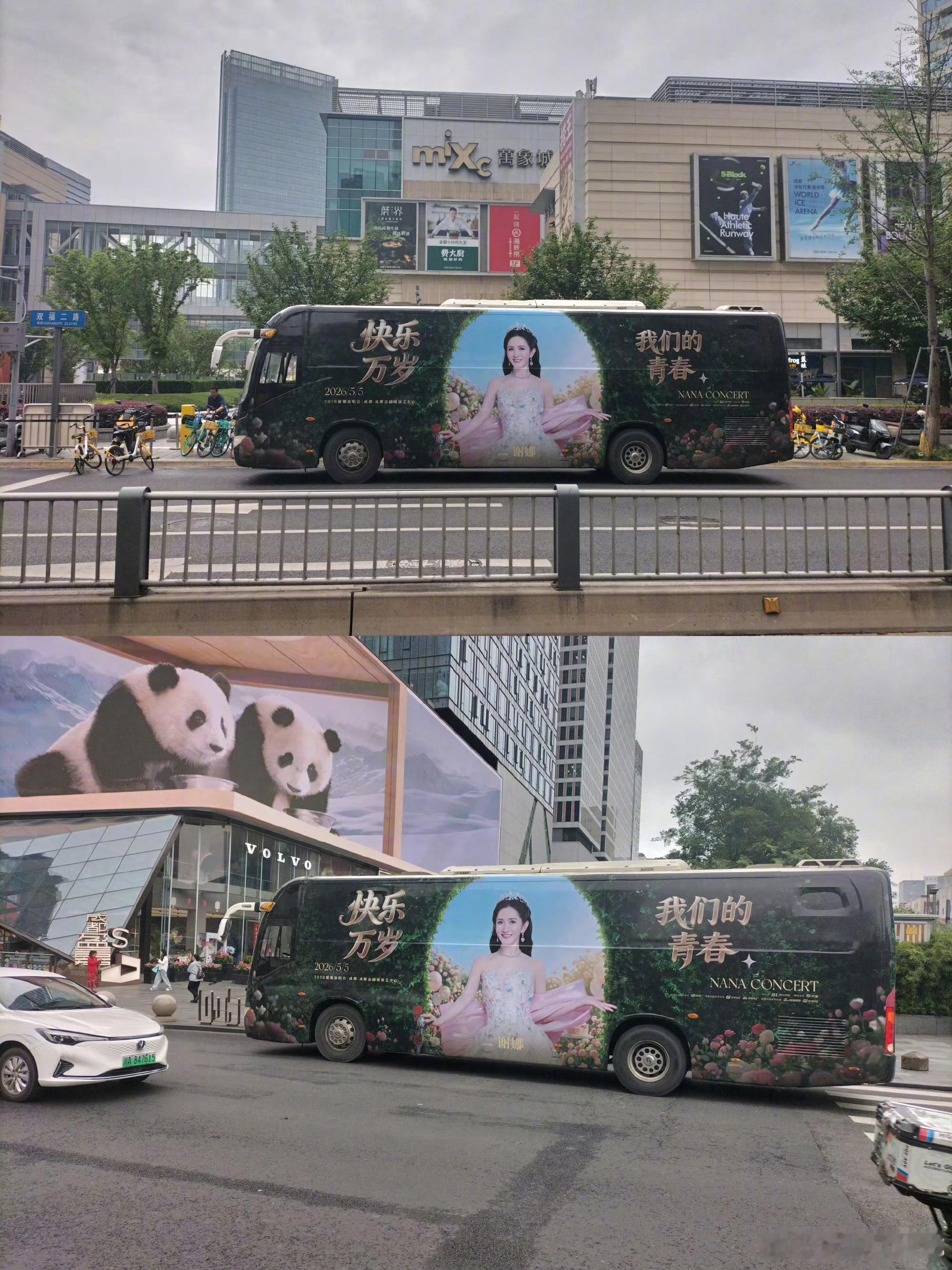 谢娜说满成都都是我谢娜回应演唱会补票时间这一切都是真的？这个场景在我梦里出现过！