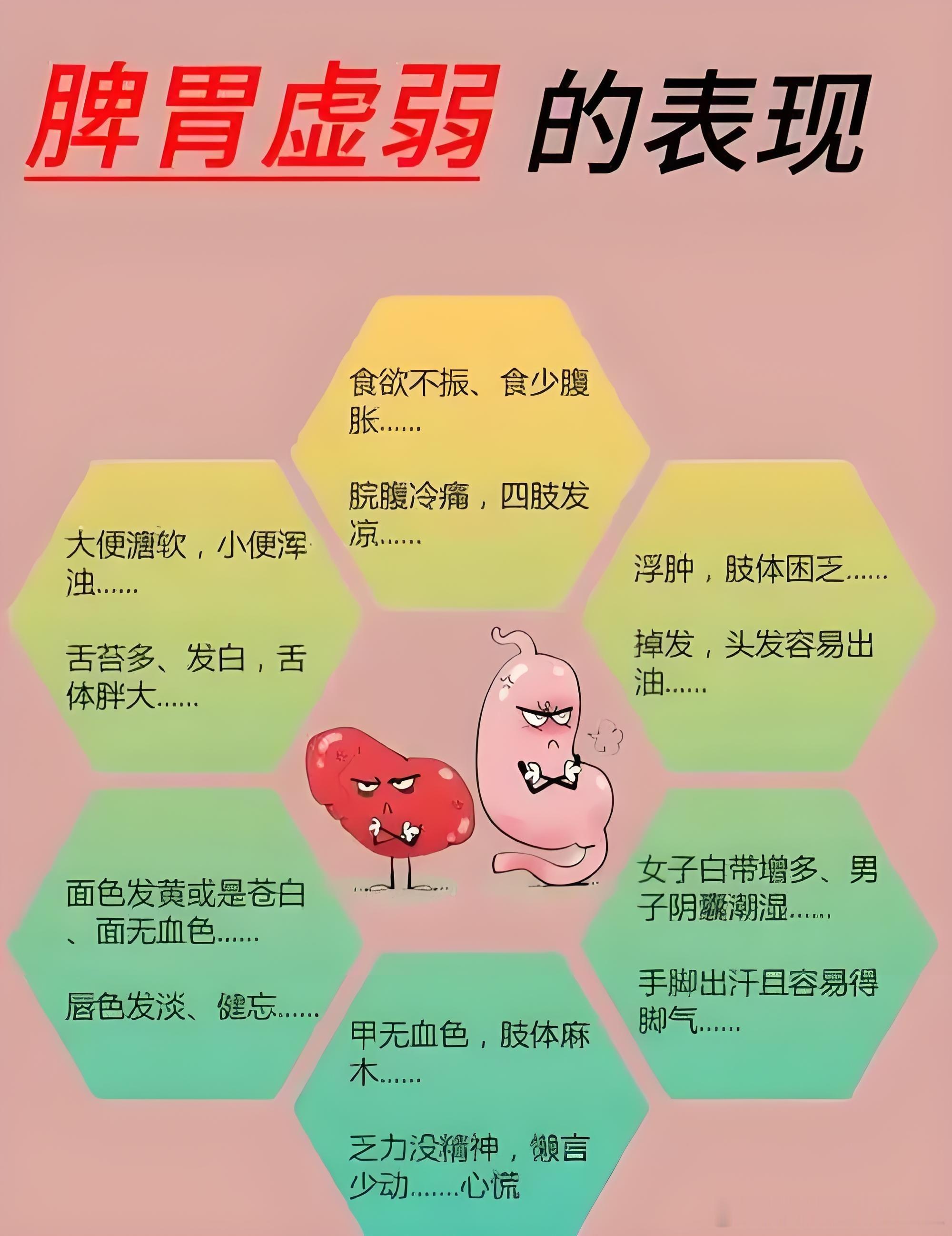 一生相伴的脾胃：各阶段藏在日常里的呵护密码人这一辈子，从蹒跚学步的孩童，到意气