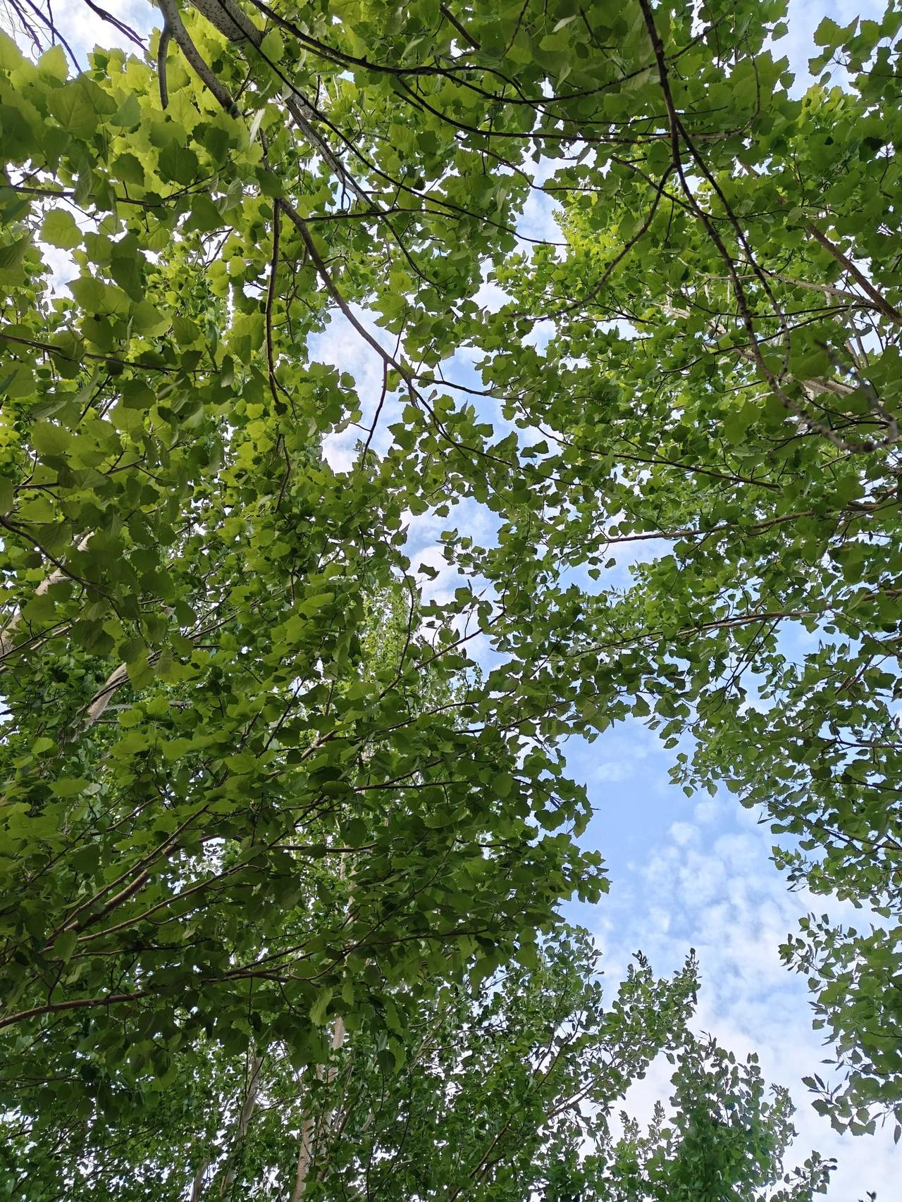 早上一起来就听到鞭炮声响，今天是后老头的儿子结婚，我给他儿子拿了一万块钱。等