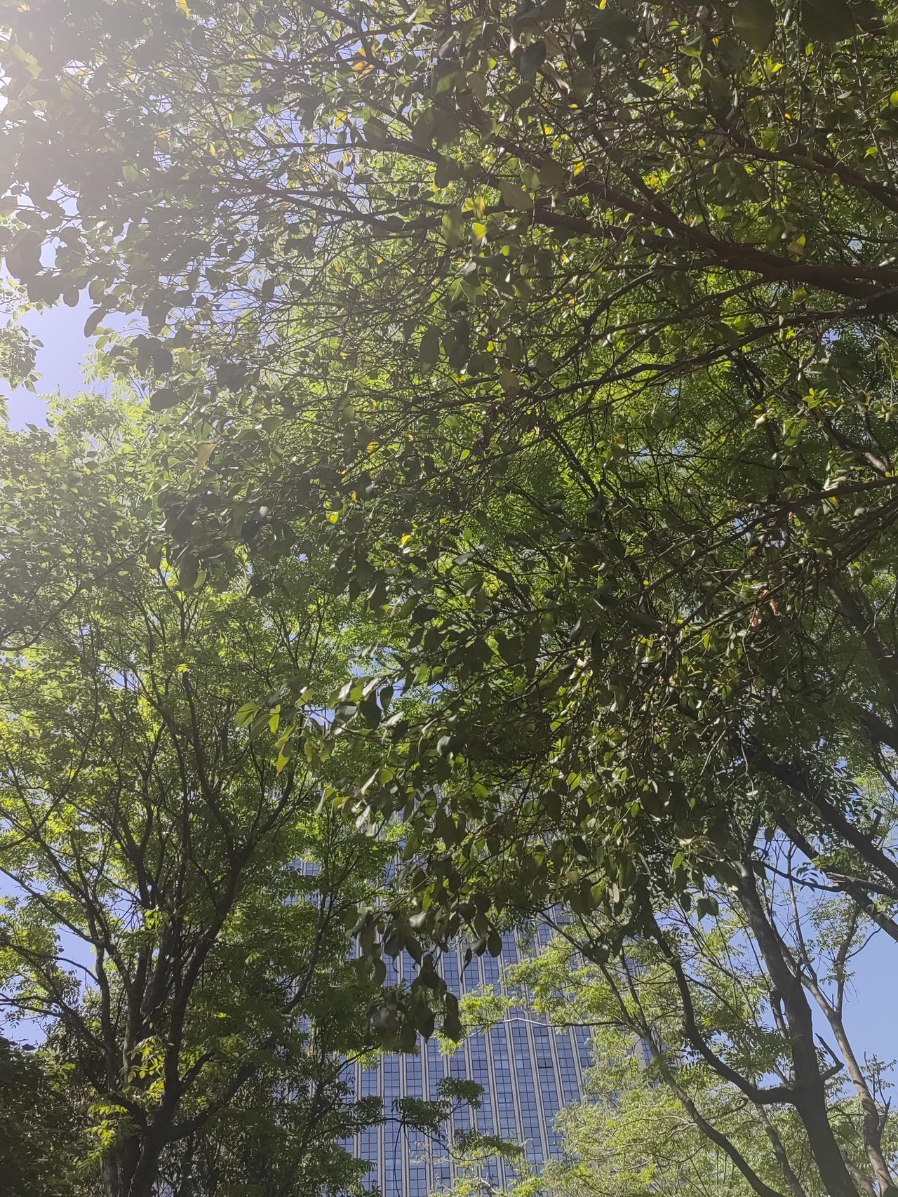 春风一吹，烦恼全被丢路边，快乐满当当装进口袋，这春日的温柔谁能拒绝！天气晴朗得不