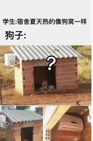 不是轻易比较的