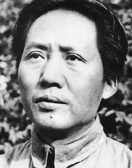 1948年，毛泽东离开城南庄去西柏坡。吉普车翻山越岭，经过一条荒凉山路时，路边草