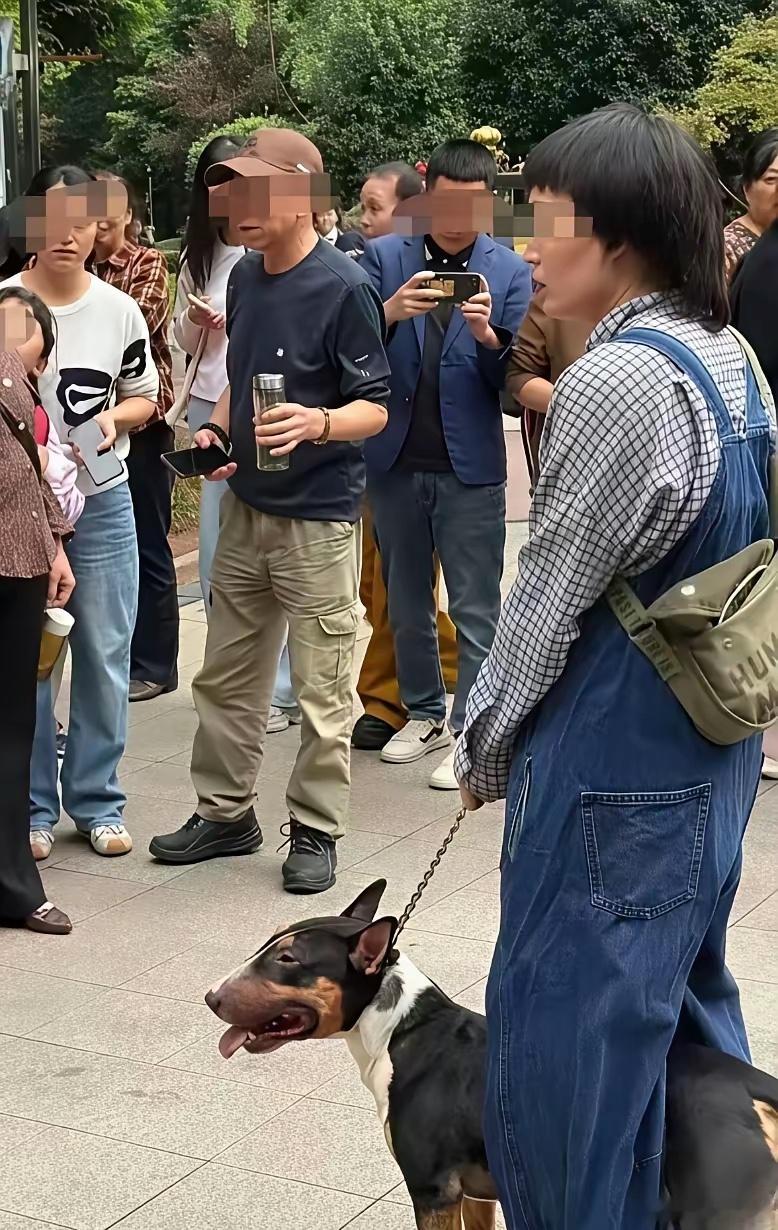 四川眉山被咬的小女孩，一辈子都完了，这三方面伤害会永远跟着她：第一、伤疤，女孩脸