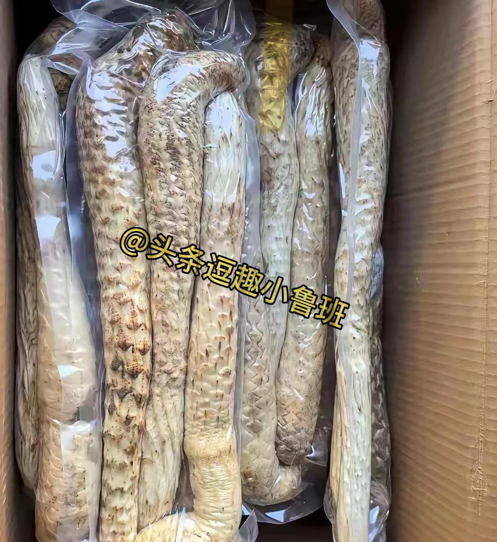 求科普！同事随手送的这个，有没有人认识呀？