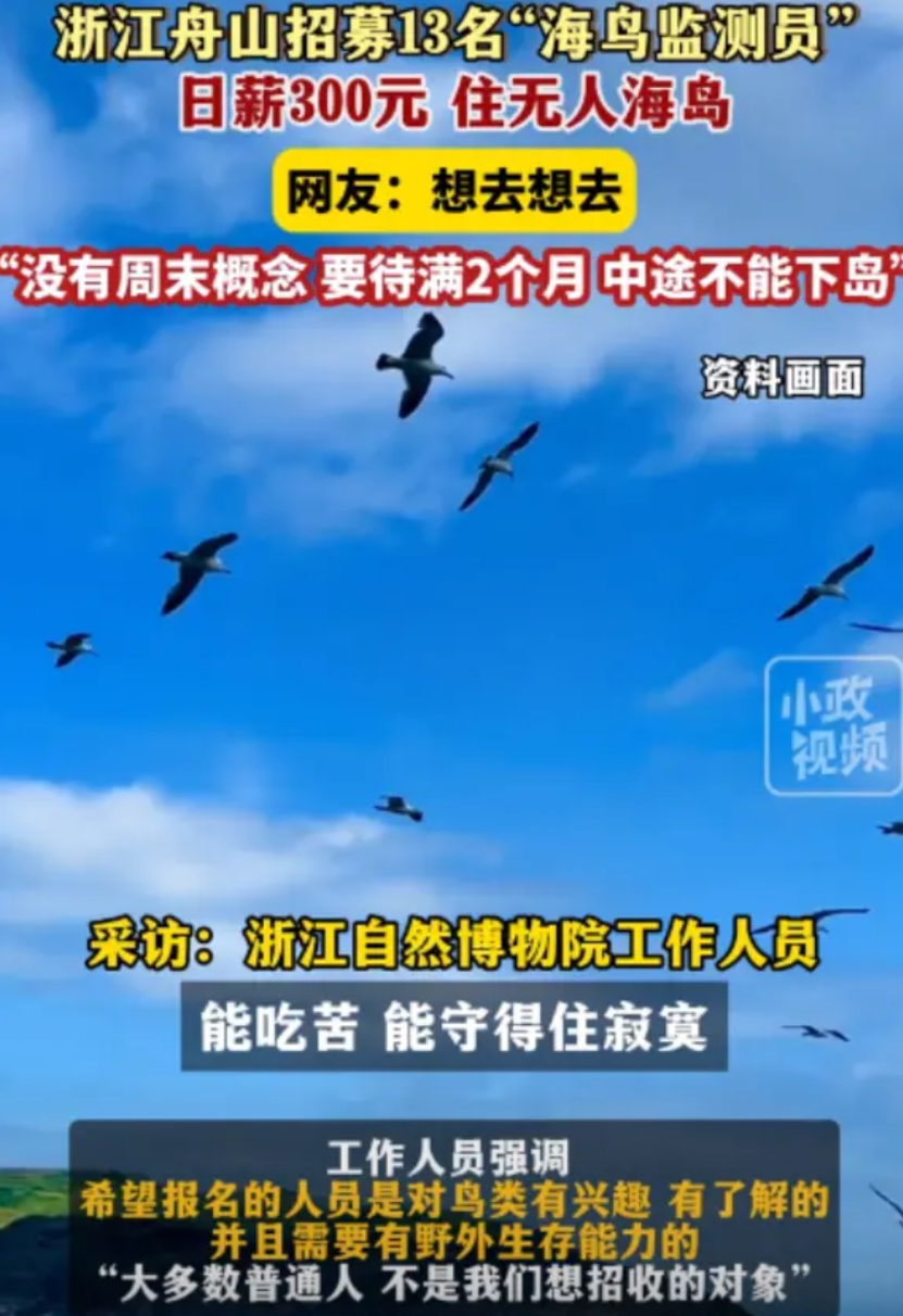 “普通人别想了！”浙江自然博物院招聘，13名海鸟监测员，日薪300元，包吃包住，