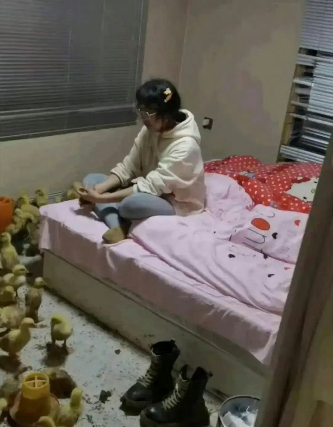 敢养就算了还敢住她是怎么住得下去的