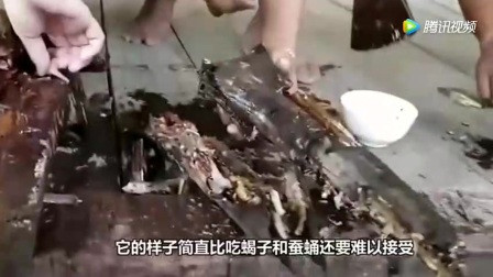 最恶心的视频_最恶心的视频 谁能坚持10秒以上.wmv